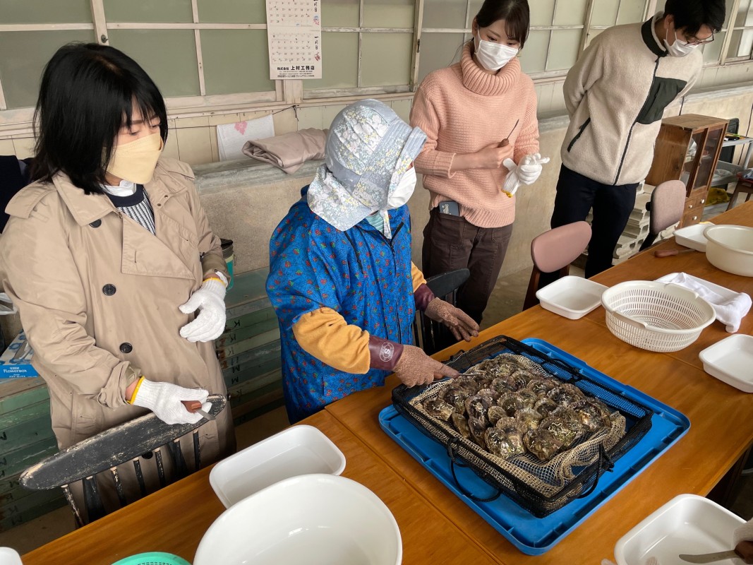 真珠取り出し体験