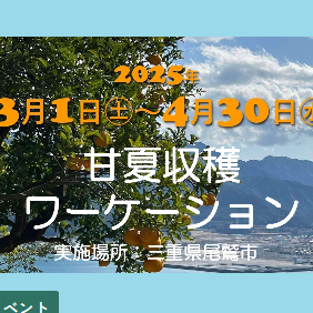 \\甘夏収穫ワーケーション@三重県尾鷲市の参加者募集中//